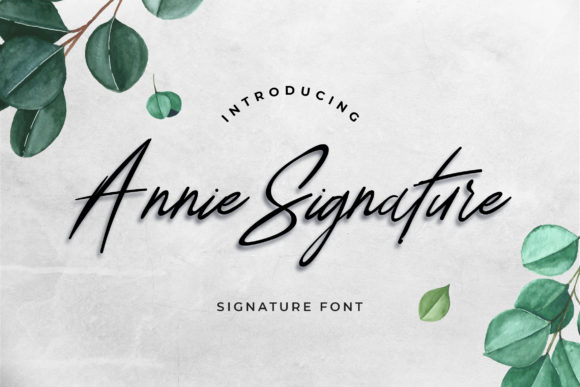 Annie Signature Font for Modern Brand Identity