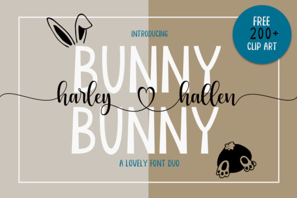 Bunny Harleyhellen Font for Small Business Branding