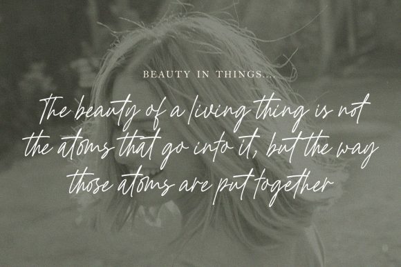Golden Hopes Script Font for Elegant Campaign Design