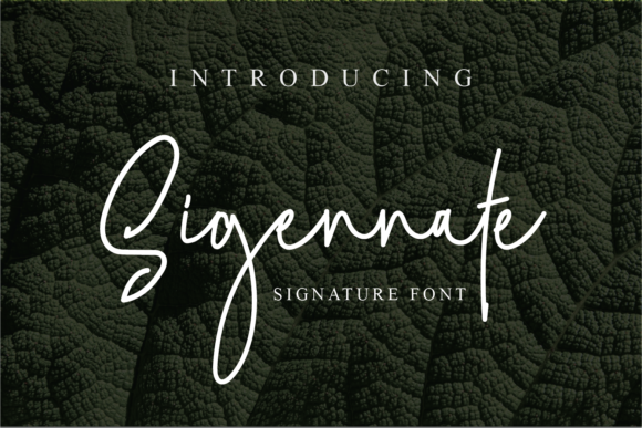 Sigennate Script Font for Polished Branding
