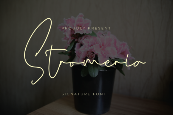 Stromeria Font for Romantic, Professional Branding