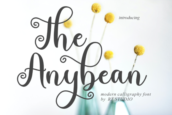 The Anybean: A Dazzling Script Handwritten Font for Editorial Design