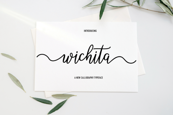 Wichita Font: Elegant Script for Designers